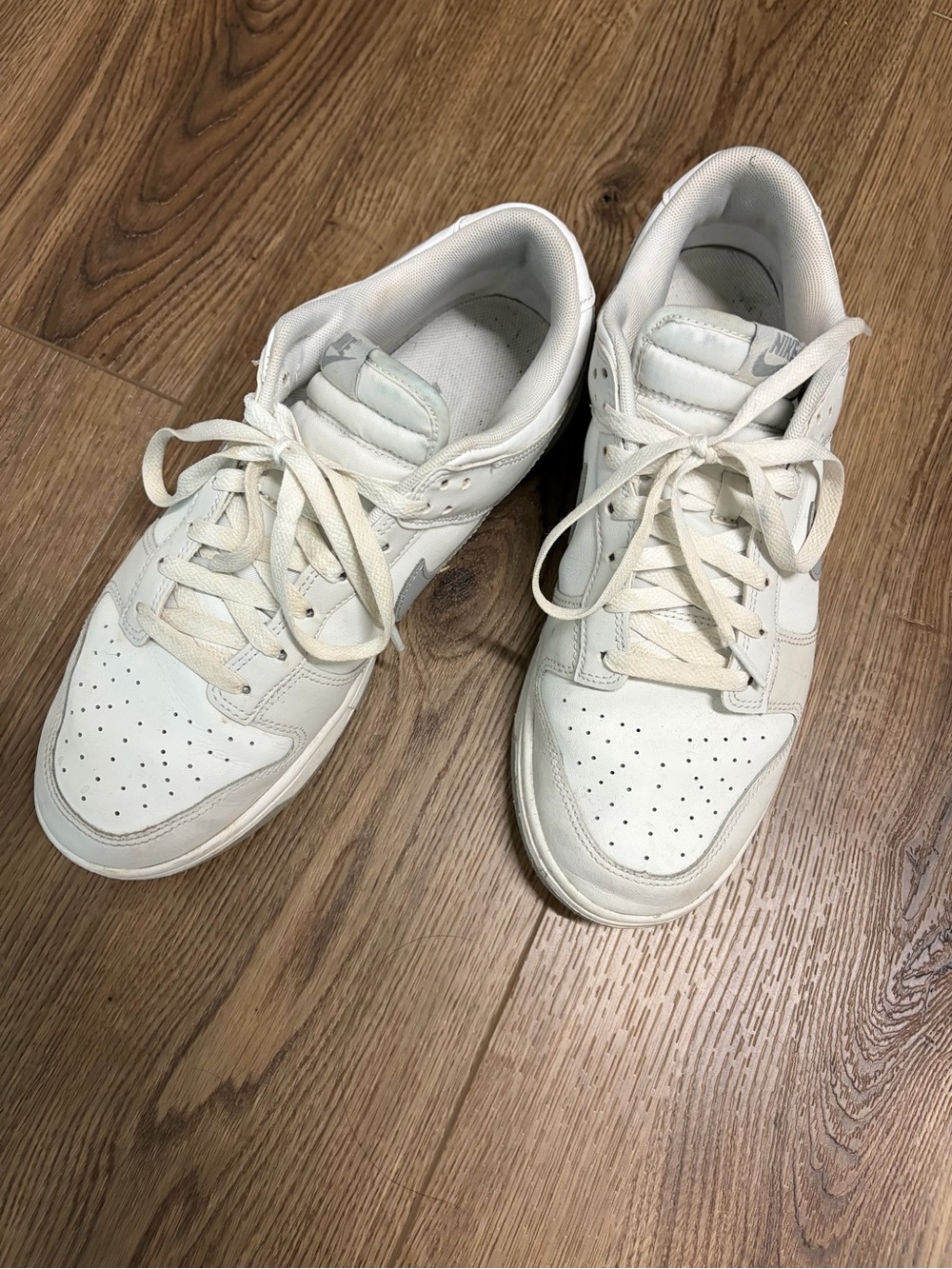 Nike Dunk Low Retro Sneakers